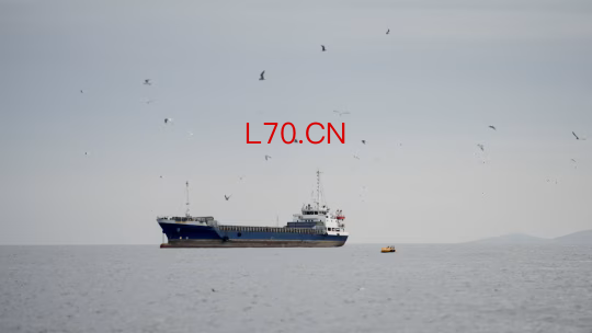 美国拟封锁伊朗经霍尔木兹海峡的航运 油价攀升至每桶100美元上方