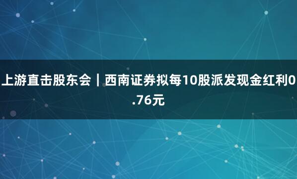 上游直击股东会｜西南证券拟每10股派发现金红利0.76元