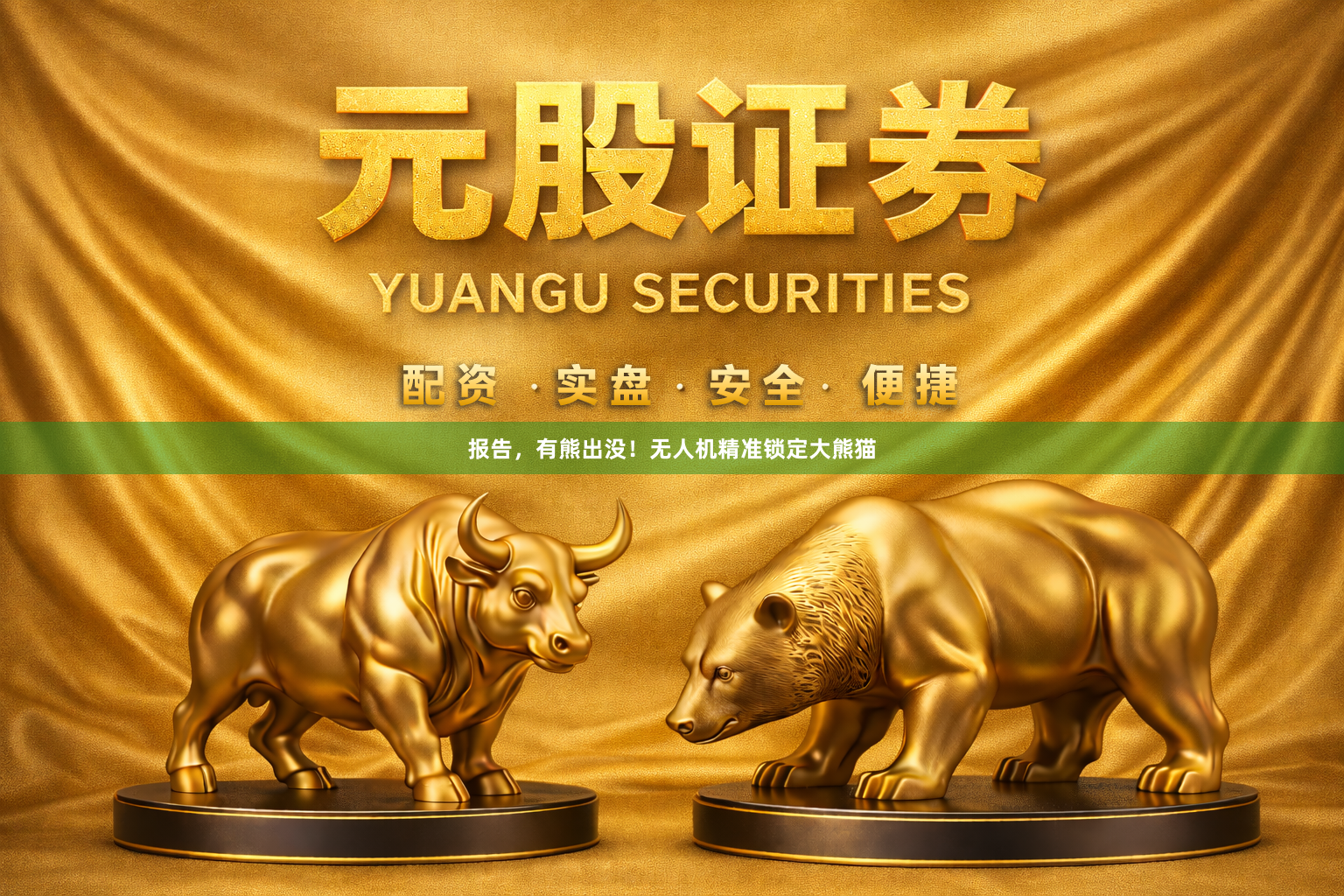 报告，有熊出没！无人机精准锁定大熊猫