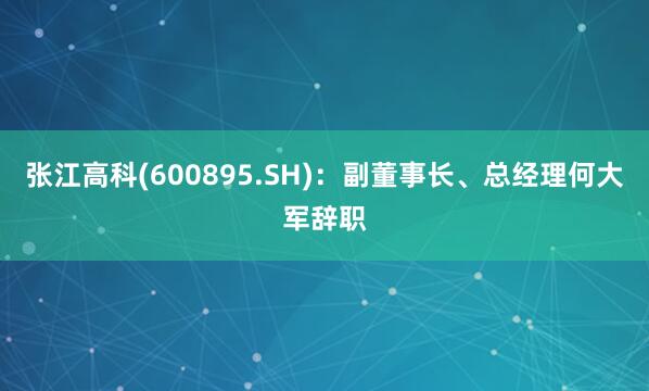 张江高科(600895.SH)：副董事长、总经理何大军辞职