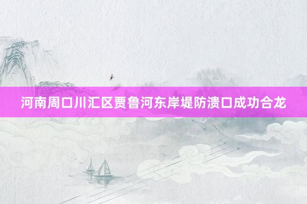 河南周口川汇区贾鲁河东岸堤防溃口成功合龙